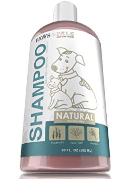 Oxgord Organic Oatmeal Dog Shampoo and Conditioner 100 Natural 20 oz- Medicated Clinical Vet Formula Wash For All Pets - Made with Aloe Vera for Relieving Dry Itchy Skin - Best Pet Odor Eliminator