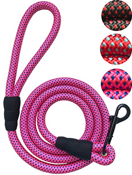 Nylon Dog Leash for Cats and Small Medium Large Dogs - Sturdy and Durable Thick Braided Nylon Rope - Soft Handle - 5 Feet 6 Feet - Limited Time Reduced Price & Buy 2, Get 10% Off & Buy 3, Get 15% Off