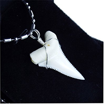 GemShark Real Shark Tooth Necklace 1.2 inch (Great White, Sterling Silver Wrapped Charm Pendant)