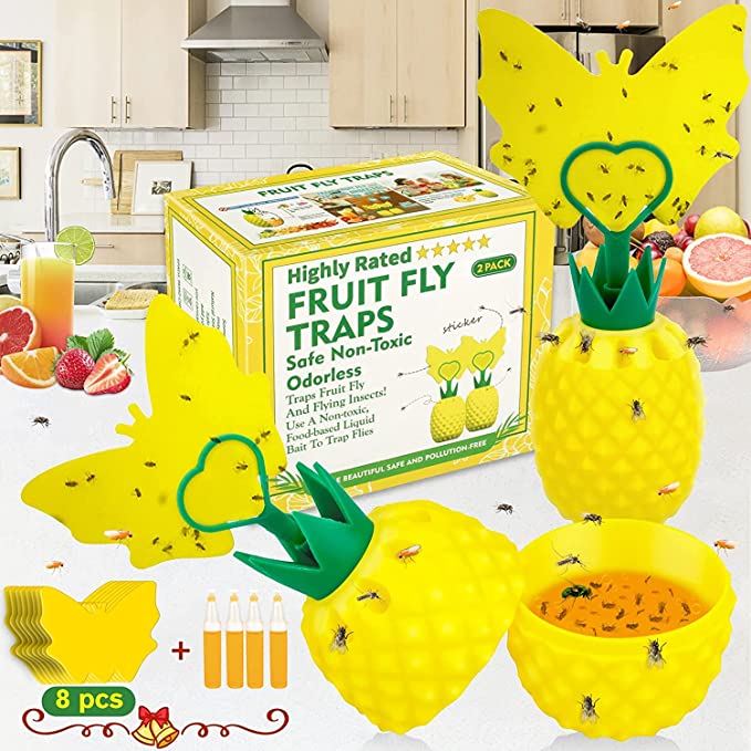 Fruit Fly Trap for Indoors with Yellow Sticky Traps, Effective Fly Catcher Gnat Trap Killer, Gnat Trap with 4 Bait for Indoor and Outdoor, Safe Non-Toxic and Odorless Fly Trap for Home,Kitchen(2 Pack)