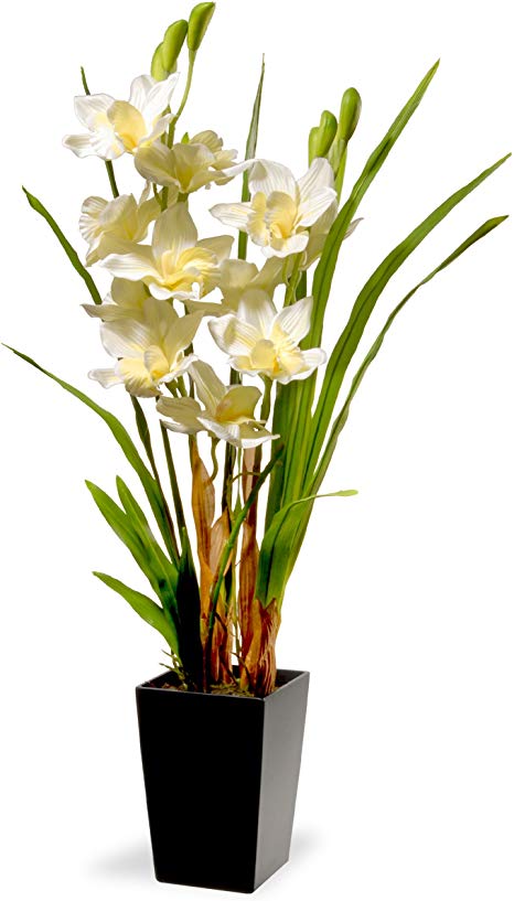 National Tree 31 Inch White Orchid Flowers with Black Square Base (NF36-5290S)