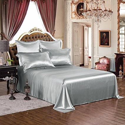 Taihu Snow 4pcs Silk Sheets Set 100% 19mm Mulberry Silk Embroidery Luxury Bed Linen (Silver, Queen)
