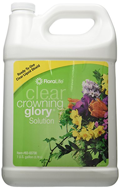 Clear Crowning Glory® Hydration and Protection Solution - 1 Gallon