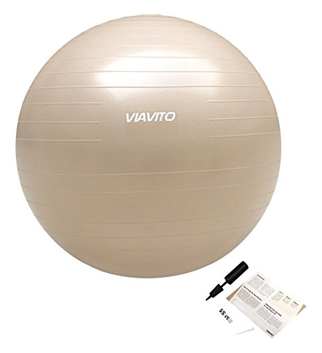 Viavito 500kg Studio Anti-Burst Gym Ball