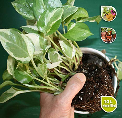 PRO 10 - Organic House Plants Potting Mix - 10L