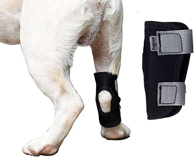 Rantow Dog Joint Brace Canine Rear Leg Hock Wraps Arthritis Heals Protector Prevents Injuries Sprains Helps Loss Stability, for Small Medium Large Short-Leg Dogs (S, Black-1 Piece)