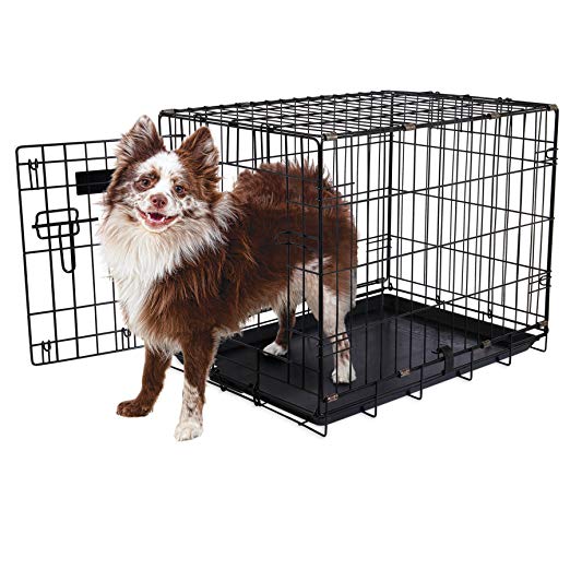 Aspen Pet Single-Door Home Training Crate