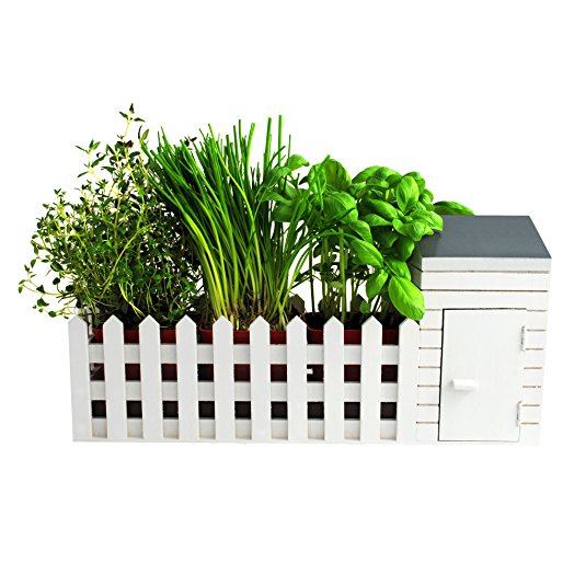 Indoor Allotment Herb Garden Set