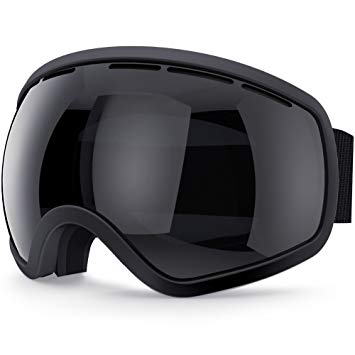 Zionor Lagopus X10 Unisex Frame/Frameless Snowboard Ski Goggles with Dual Layer Lens 100% UV400 Protection Anti-fog with Fix-point Anti-slip Strap