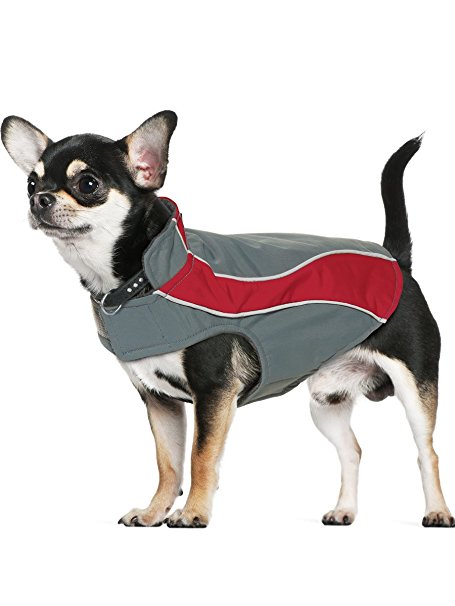 Kakadu Pet Nylon Shell And Fleece Lined Dog Coat With Reflective Stripe