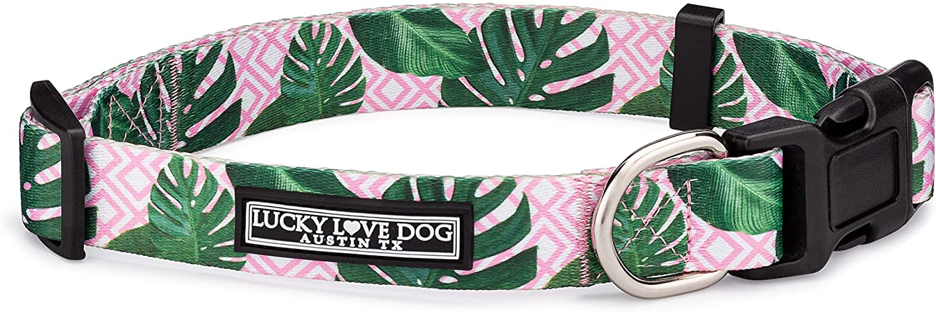 Lucky Love Dog Cute Female Dog Collars Small, Medium, Large |Matching Collar Leash Set, Premium, Floral Collars for Girl Dogs