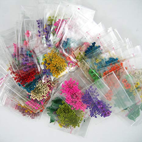 A_Grade Real Flower Dried Flower Assorted Styles Nail Art Dry Flower Spiraea Ammi majus Pressed Flower for Nail Art Decoration (30packs(180pcs))