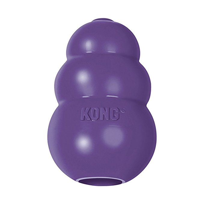 KONG Senior Dog Toy, Purple