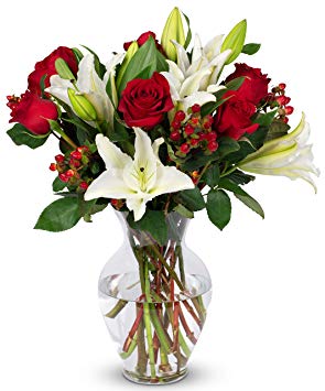 Benchmark Bouquets Red Elegance, With Vase (Fresh Cut Flowers)
