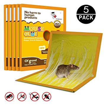 JCHope Mouse Glue Boards, Mouse Glue Traps, Mouse trap, Mouse Size Glue Traps Sticky Boards, Professional Strength Glue (5 Pack) (Yellow-14)