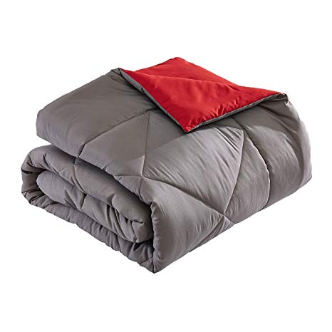 Word of Dream Reversible Brushed Microfiber Comforter, All Season Quilted Down Alternative - Full/Queen, Gray and Red