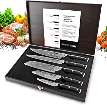 Knife Sets, Elegant Life Professional Kitchen 5 Pieces Knife Set with Wooden Box, Stainless Steel Finish, Includes Chef Knife, Bread Knife, Carving Knife, Utility Knife and Paring Knife