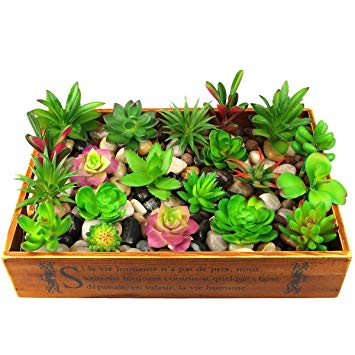 Dreampark Artificial Succulent Plants, 18PCS Mini Fake Succulents Plants for Home Decor DIY Garden Decorations Indoor Pack of 18 Unpotted (Small Size)