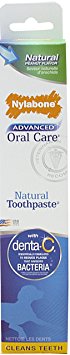 Nylabone Advanced Oral Care Natural Peanut Flavored Dog Toothpaste