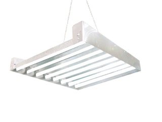 T5 HO Grow Light - 2 FT 8 Lamps - DL8208 Fluorescent Hydroponic Indoor Fixture Bloom Veg Daisy Chain with Bulbs