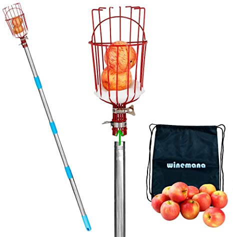 winemana Fruit Picker with Cushion and 8 FT Telescopic Extension Pole, Professional Metal Tree Fruit Picker Pole with a Storage Bag, 9 FT Fruit Catcher Basket for Any Kinds of Fruits