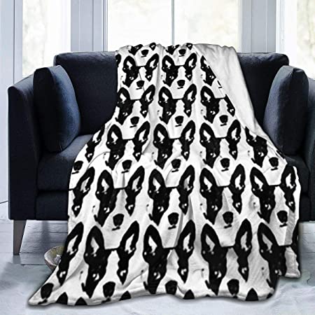 STWINW Throw Blanket, Boston Terrier Dog Ultra-Soft Micro Fleece Blanket 50 X 40 Inches Warm Blanket for Man Sofa Couch Blanket Lightweight Blanket
