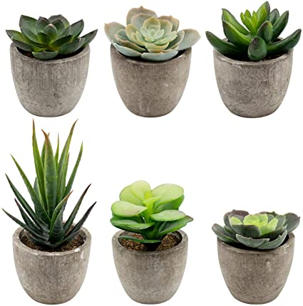 Foraineam 6 Pieces Assorted Potted Faux Succulent Decorative Artificial Succulent Cactus Cacti Plants