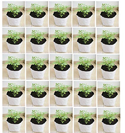 Evergreen UV Treated Poly Grow Bags (White Outside, Black Inside - 20 Bags)