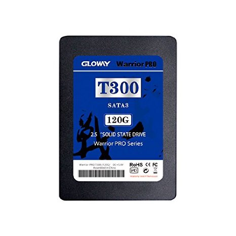 Gloway Warrior 120G SSD 25-inch 530MS Solid State Drive Compatible with Windows Mac Intel AMD Desktop Motherboard Laptop