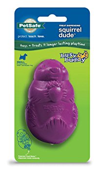 Busy Buddy Squirrel Dude Dog Toy