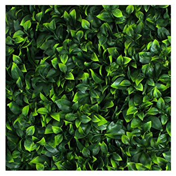 Artificial Hedge - Outdoor Artificial Plant - Great Boxwood and Ivy Substitute - Sound Diffuser Privacy Fence Hedge - Topiary Gardenia Greenery Panels (4, Gardenia)