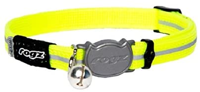 ROGZ ALLEYCAT CAT COLLAR WITH BREAKAWAY BUCKLE AND NIGHT TIME VISABILITY (Daylgo))