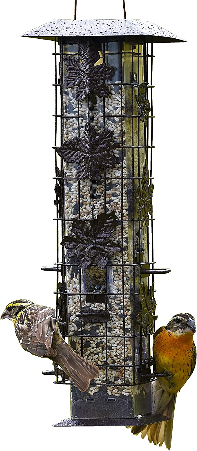 Perky-Pet 336-1SR Squirrel-Be-Gone Bird Feeder, 2LB Squirrel Proof Outdoor Wild Bird Feeder with Weight-Activated Perches