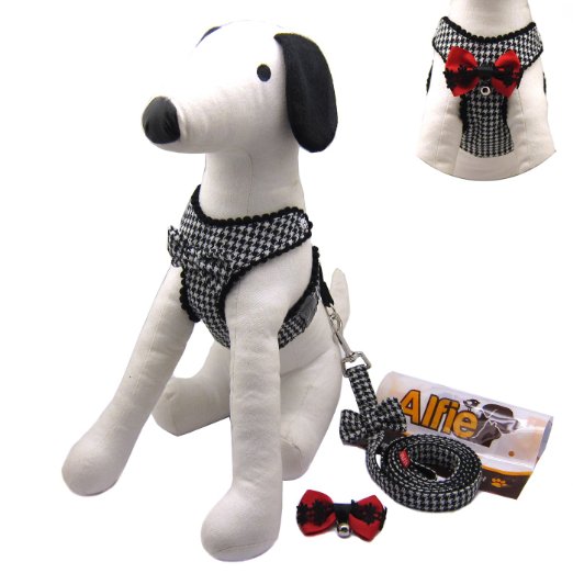 Alfie Couture Designer Pet Accessory - Shayne Step-in Harness and Leash Set