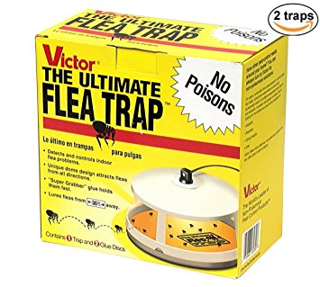 Victor M230 Ultimate Flea Trap (Pack of 2, Multy)