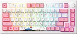 Akko Magnetic Switches Rapid Trigger Gaming Keyboard, MOD007B PC World Tour Tokyo Wired/Wireless 75% Mechanical Keyboard with Knob, RGB Backlit (Kailh Sakura Pink Magnetic Switch)