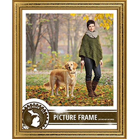 Craig Frames 314GD2436DAC 0.75-Inch Wide Picture/Poster Frame in Ornate Finish, 24 by 36-Inch, Ornate Gold