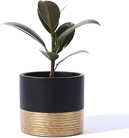 Cement Planter Pots for Plants Indoor - 5 Inch Indoor Concrete Plant Pot Bonsai Container with Drainage Hole for Modern Home Office Decor(POTEY 055901, Plant NOT Included)