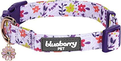 Blueberry Pet 2019 New 6 Patterns Spring Scent Garden Floral Collars for Dogs, Matching Shopping Bag for Pet Lovers