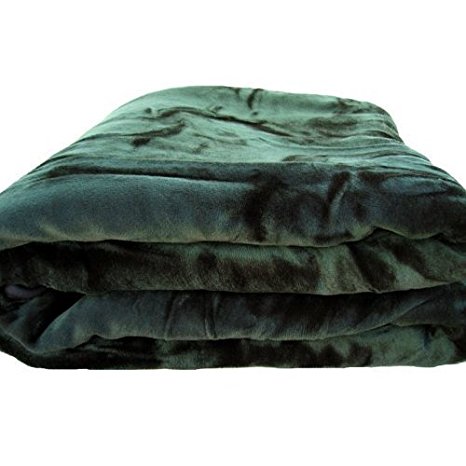 Sara Solid Mink Bed Blanket, Queen/Full, Green