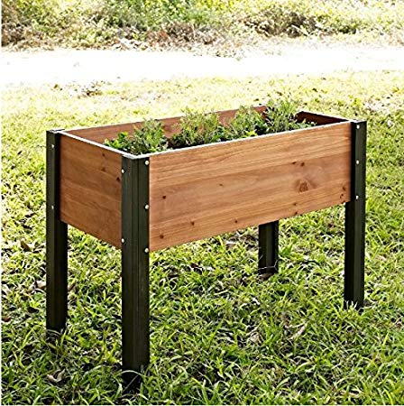 Bloomfield Wood Raised Garden Bed Crafted from Durable Fir Wood in Dark Stained Wood Legs- 40L x 20D x 29H in.