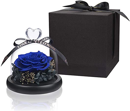 Blue Roses Preserved Rose Real Rose, Long Lasting Roses Eternal Flower Romantic Gifts for Female, Valentine's Day, Mother's Day, Christmas, Thanksgiving Day, Anniversary