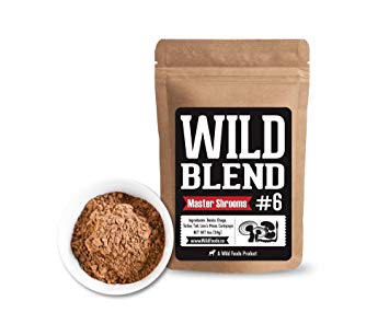 Wild Mushroom Blend of 5X Mushrooms Superfood Powder Blends for Smoothies, Shakes, Coffee, Baking - Health, Performance, Nootropic Mental Performance (Power Shrooms - 8 oz)
