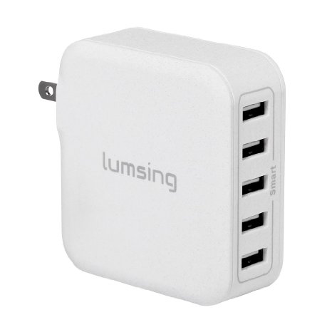 Lumsing 40W 8A 5-Port USB Wall Charger with Folding Plug Portable Travel Charger For iPhone 6 Plus iPad Samsung Galaxy S6 EdgeGrey