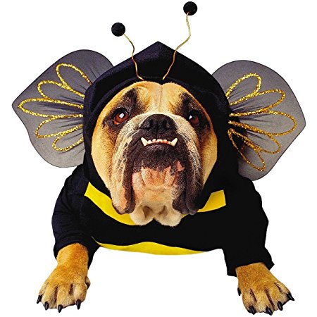 Paper Magic Zelda Wisdom - Bumblebee Dog Costume