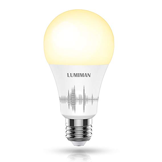 Smart Light Bulb, Wifi Smart Light Bulb with 50W Equivalent, Dimmable Warm White and A19 E26 Edison Bulb, Compatible with Alexa and Google Home, No Hub Required, LUMIMAN LM510