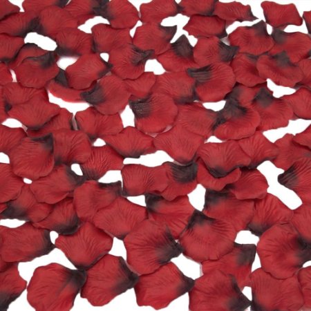 SUMERSHA 1000pcs Silk Rose Petals Artificial Flower Wedding Party Vase Decor Bridal Shower Favor Centerpieces Confetti (Red)