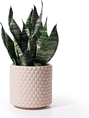 Planters Pots for Plants Indoor - POTEY 054302 6 Inch Ceramic Vintage Style Polka Dot Patterned Planters Bonsai Container with Drainage Hole for Plants Succulent Cactus(Plants NOT Included)