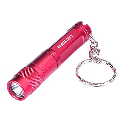 Reson Mini Flashlight Keychain,300Lumen LED Pocket Flashlight CREE LED Penlight Torch Light 5Modes Waterproof Lantern for Kids,Camping,Hiking,Inspection and EDC Flashlight