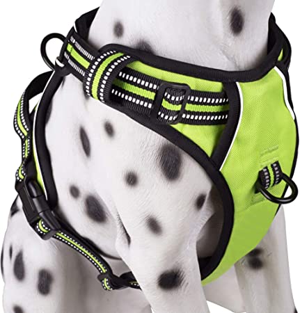 PoyPet No Pull Dog Harness, Reflective Comfortable Vest Harness with Front & Back 2 Leash Attachments and Easy Control Handle Adjustable Soft Padded Pet Vest for Small to Large Dogs (Green,XL)